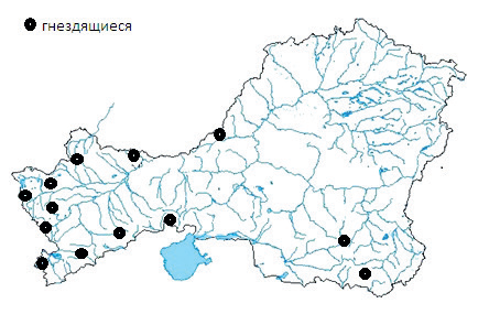 area